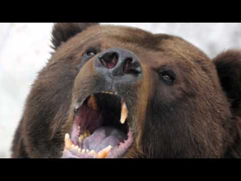 Russian Midget Sub - The Illustrated Edition