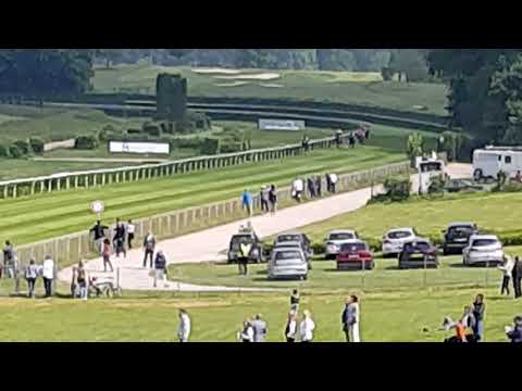 Der Zieleinlauf vom Grafenberg: der Aufgalopp von King's Hollow