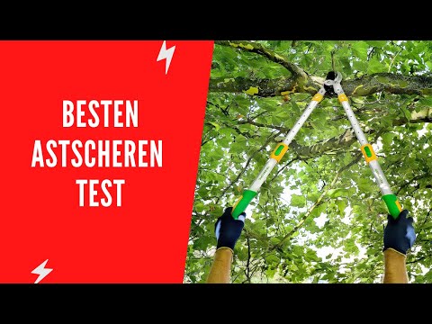 ✅ Die Besten Astscheren Test - (Top 5)