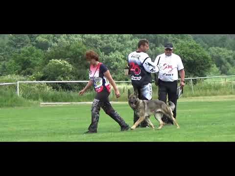 2019 Mistrovství ČR IGP part 1