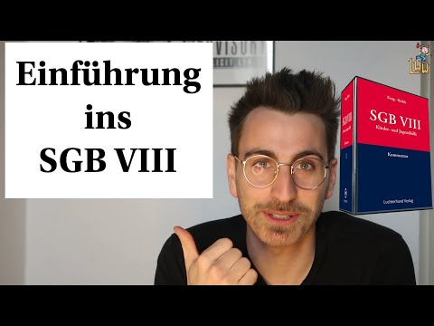 Social Law I Introduction to Child and Youth Welfare I Educational Support I SGB VIII §27