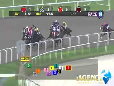 SINGAPORE RACE 01/12/2013 RACE 11 - iAgencyNet.com