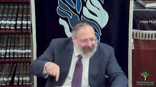 בסי לגני #5 מהפכת חסידים על הצמצום/נטישה, רבי י.י. יעקבסון, 5785