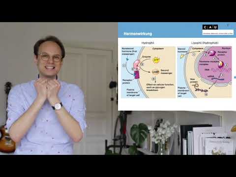 Vorlesung Biologische Psychologie S5_1