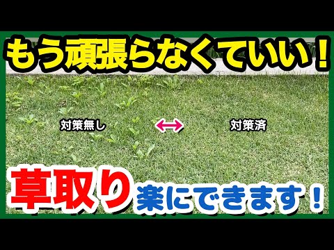  3月の芝生の手入れ方法は？元気に成長するための5つのヒント！  庭園