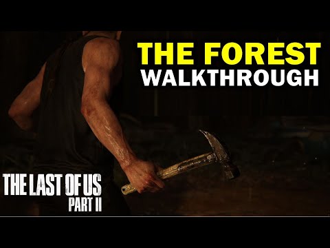 The Forest: Complete Walkthrough | The Last Of Us 2 (TLOU Part II)