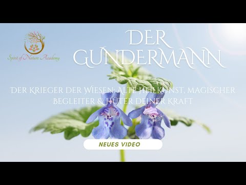 Der Gundermann - Der Krieger der Wiesen
