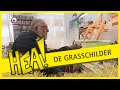 HEA! De grasschilder van Appelscha