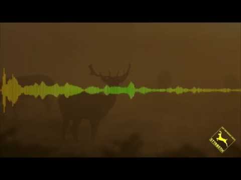 LIVE @ FRESH FM: HARDHOUSE GENERATION - 03/02/2016 [FREE DOWNLOAD!]