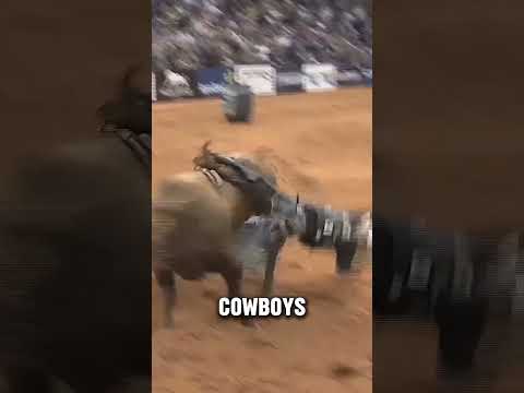 Der tödlichste Rodeo-Bulle der Geschichte #Kurzfilme #Fakten #WusstenSieSchon #Kurzinfos