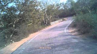 Jungle road to Panna: Allahabad to Panna with my friend Alok Yr2013 #askdushyant