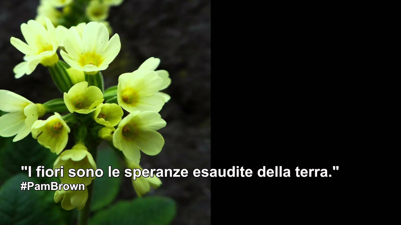 Le Parole dei Fiori