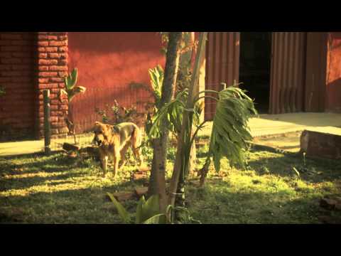 LaVitrola.cl: Ignacio Figueroa - Más de Ti