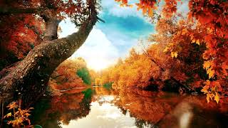 Download lagu The Elegance of Pachelbel - Serenade:森の湖と小鳥の鳴き声 ver. mp3 Download lagu The Elegance of Pachelbel - Serenade:森の湖と小鳥の鳴き声 ver. mp3