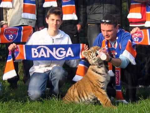 Vienas miestas - viena komanda