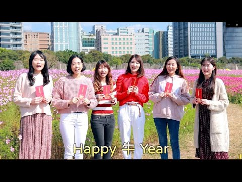 水美眉帶路 到內湖享受2大花海美景 美照輕鬆拍