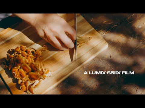 LUMIX Presents: Shutter Showdown — FINAL COURSE by Fritz Bacon