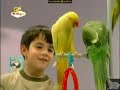 Kids And Pets S1 Ep 3 BabyTV