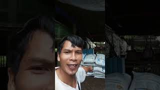 Download lagu Demi ringgit #vlog #seputar #tki#tkw mp3