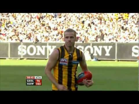 AFL 2008 Grand Final Hawthorn Vs Geelong 2nd Half