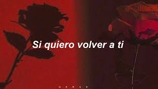 quiero volver a ti— Boquitas pintadas