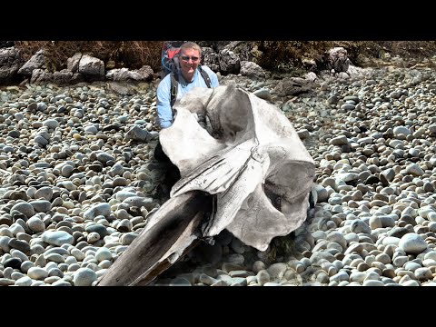 9 Most Mysterious Discoveries Made On The Beach!