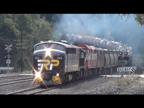 S312,T333,44209,GM36 pullling El Zorro grain at Kilmore East