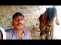Ye Bhi कैमरे मैं Dekh Raha Hai Souravjoshivlogs