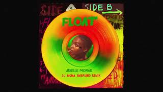 Janelle Monáe - Float (DJ MoMa Amapiano Remix) [Official Audio]