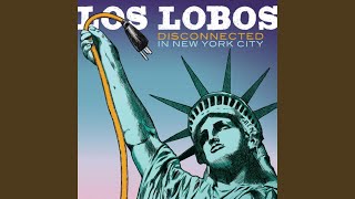 Tin Can Trust (Live)