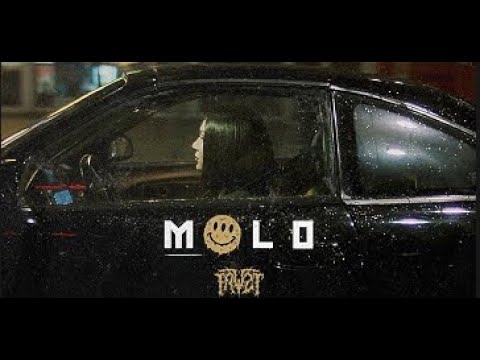 FAVST FT. KBLEAX, KIZO, MR. POLSKA - MOLO (TEKST)