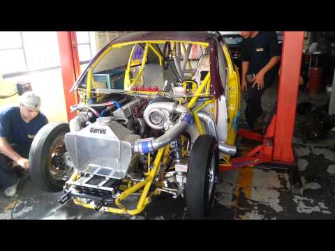 New beetle Português