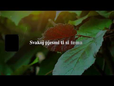 Zlatko Pejaković - Nisam Te Zaboravio