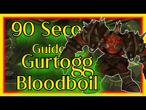 A 90 Second guide to killing Gurtogg Bloodboil inside the Black Temple
