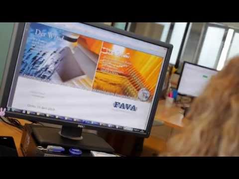 Fava - company profile 2015