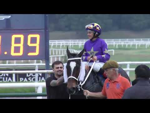 221113 c10 Ecuador/ FAMOUS DILL