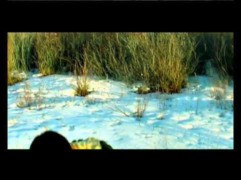 A-Cool zurkhnii nulimas ok.avi