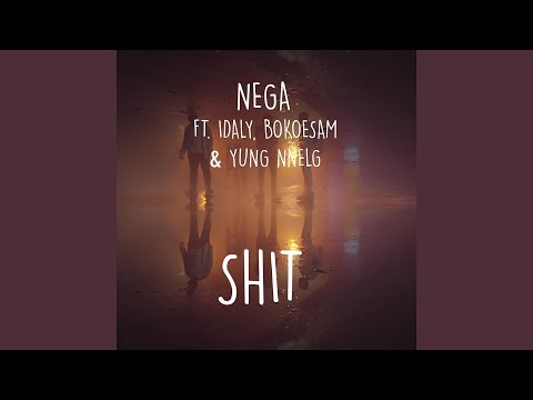 Shit (feat. Idaly, Bokoesam & Yung Nnelg)