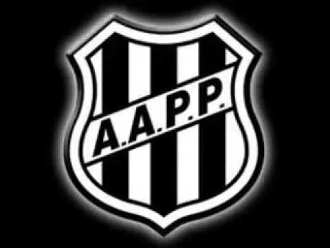 MIL VEZES PONTE PRETA MACACA QUERIDA