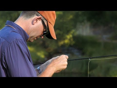 Sight Fishing in Norrby