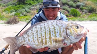 WIDE OPEN Surf Fishing - Best Day Ever with the Lucky Craft