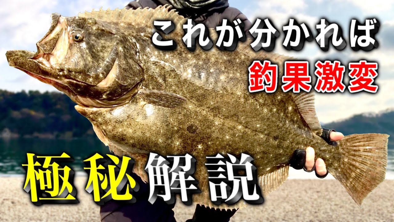劇的にヒラメが釣れるようになる近道を暴露します【初心者〜上級者向け】ルアー釣り