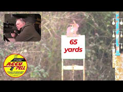 REACTIVE TARGETS - 50 TO 90 YARDS - WITH THE DAYSTATE AIR WOLF