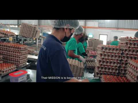 DVSS | MYGAP LAYER POULTRY FARM LHS SDN BHD VIDEO