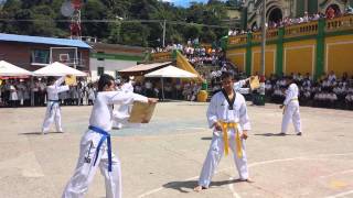 preview picture of video 'Exhibición Taekwondo ... Nocaima Cundinamarca'