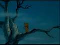 Winnie The Pooh Wherever You Are