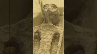 Aliens Found In Earth ! Finely We Have Aliens #shorts #alien #spaceship