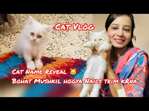 Cat Name Reveal 🤫 || how to Cut Cat Nails || Bohat Mushkil hogya|| Cat Baby || We ThRee VloGger’s||