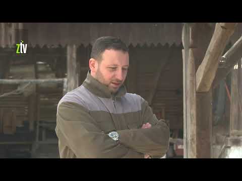 Poljoprivreda – strateška grana privrede opštine Boljevac