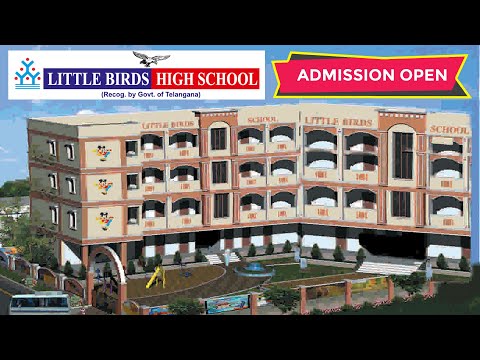 Little Birds High School - Safilguda